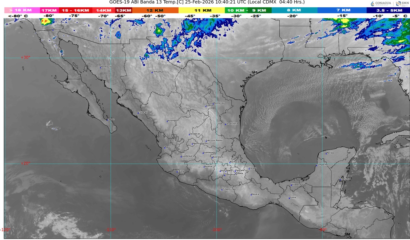 WhatsApp Image 2026-02-25 at 08.14.12