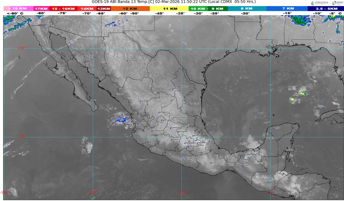 WhatsApp Image 2026-03-02 at 07.48.42