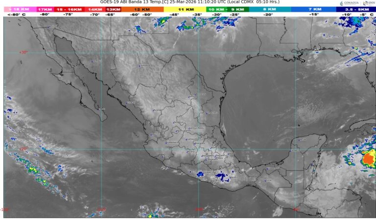 WhatsApp Image 2026-03-25 at 07.56.03