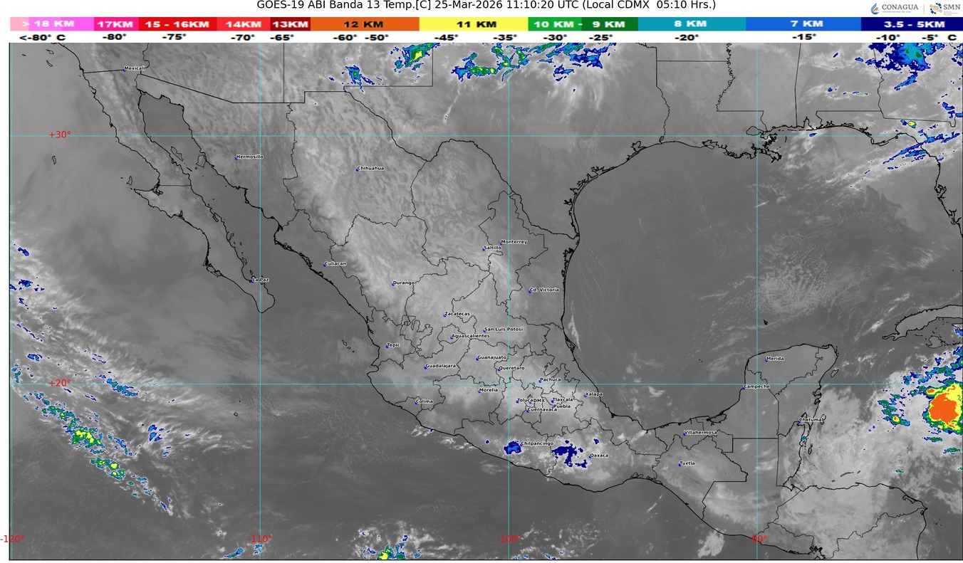 WhatsApp Image 2026-03-25 at 07.56.03