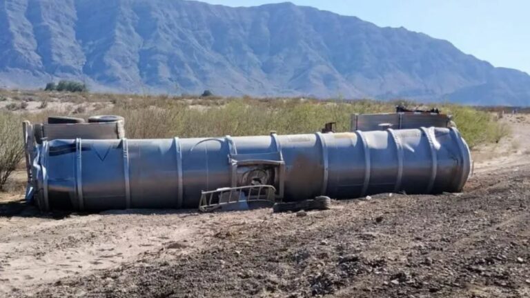 WhatsApp Image 2026-03-28 at 13.22.53