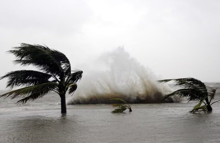 WhatsApp Image 2026-04-16 at 09.01.15